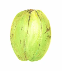Coconut, Sri Lanka, 2015